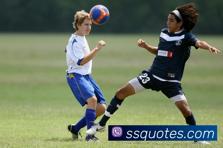 体育赛事直播